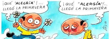 llegó la primavera y las alergias